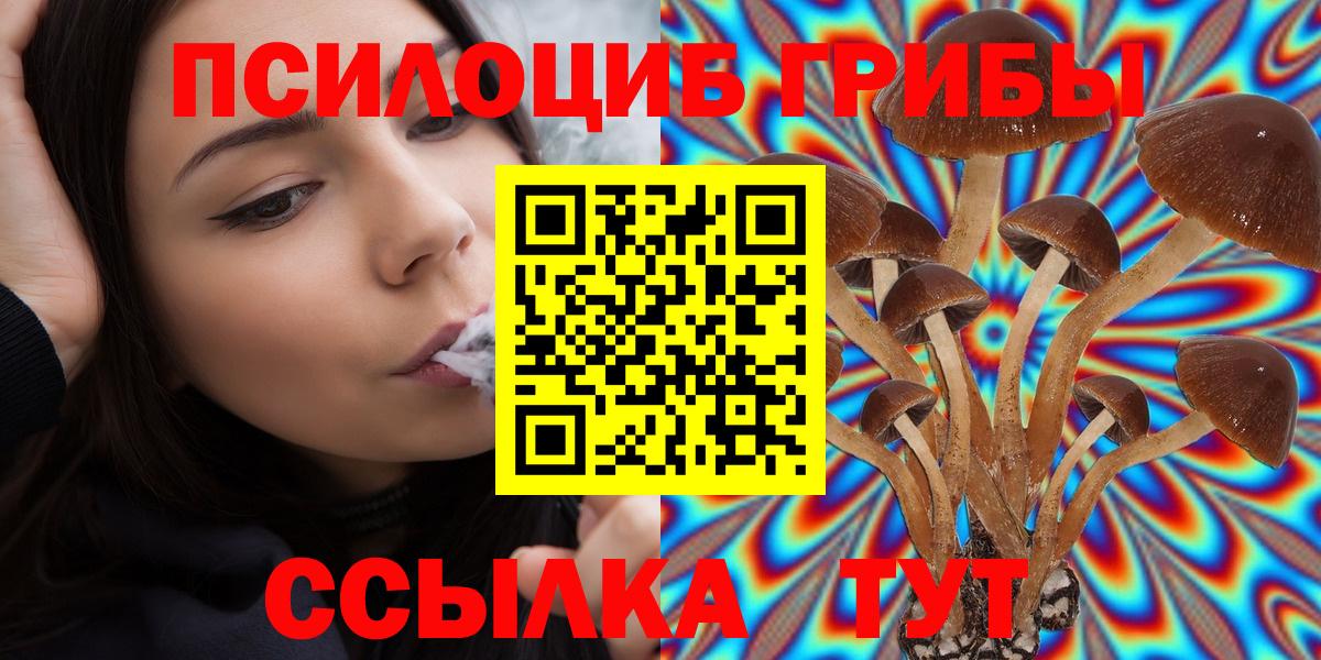 Галлюциногенные грибы мицелий  Псилоцибиновые грибы Psilocybine cubensis  Медногорск  Вход с VPN 